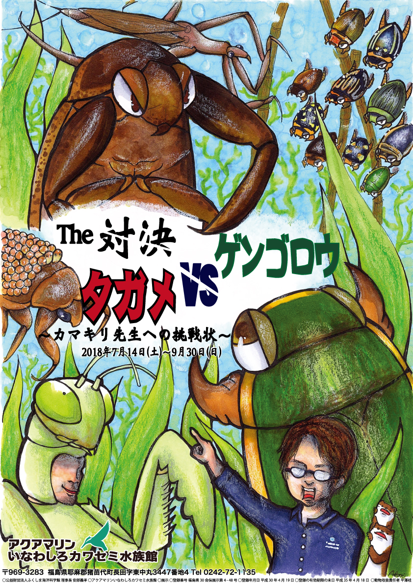 企画展「The対決 ゲンゴロウVSタガメ ~カマキリ先生への挑戦状~」 アクアマリンいなわしろカワセミ水族館