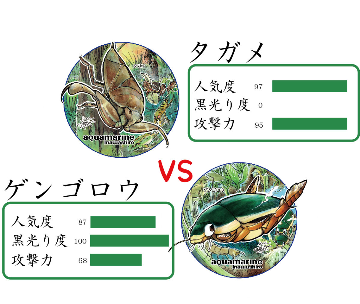 The対決 ゲンゴロウvsタガメ カマキリ先生への挑戦状 アクアマリンいなわしろカワセミ水族館