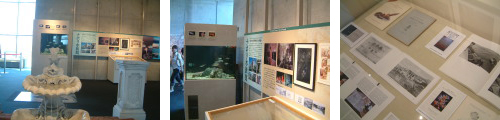 企画展『地中海の魚と伝説』（ 会期：2004/7/31～2004/9/27 ）