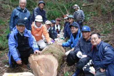 阿武隈山中杉の伐採　プロジェクト伝の面々