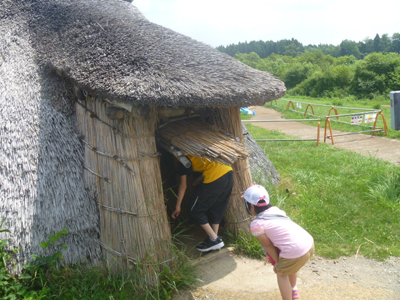 三内丸山遺跡の竪穴住居再現