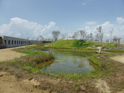 縄文の里の湿地帯