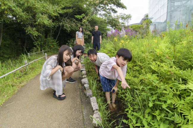 BIOBIOかっぱの里