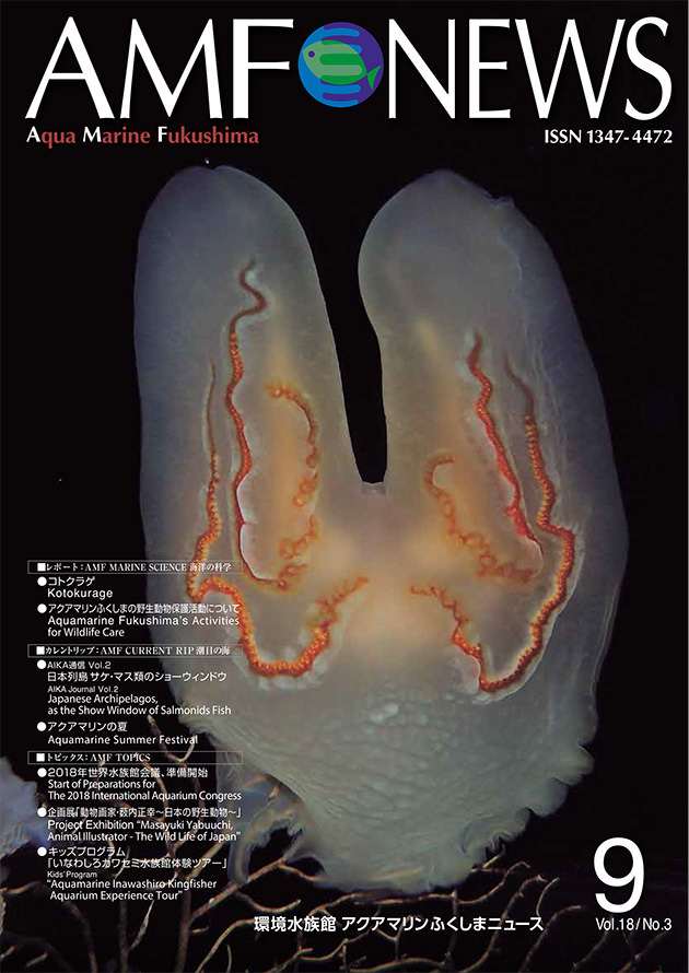 機関誌「AMF NEWS」66号