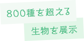 800種を超える生物を展示