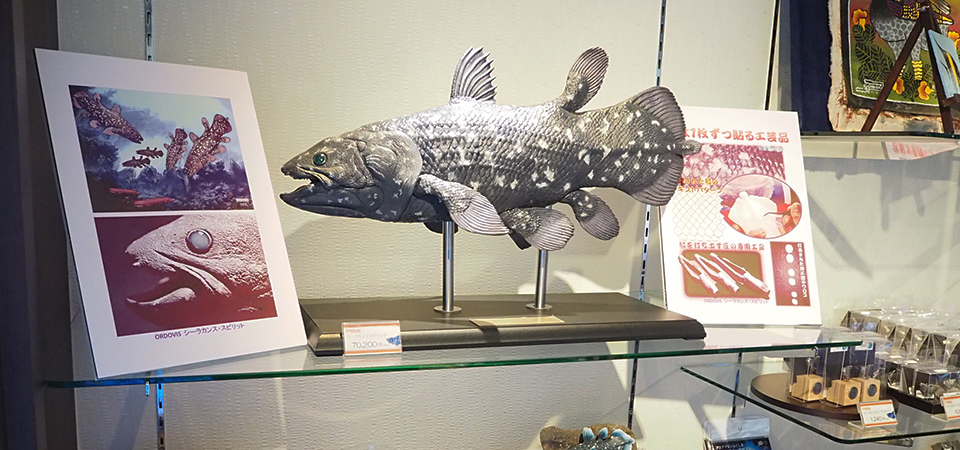 ミュージアムショップ「GOMBESSA」店内