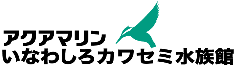 アクアマリンいなわしろカワセミ水族館ロゴ