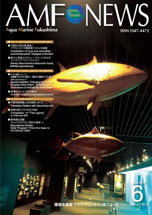 機関誌AMF News 77号