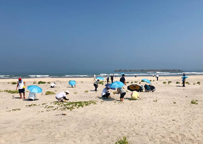 砂浜での実習風景2