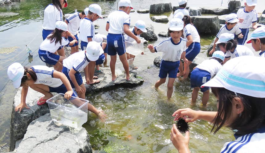 海岸の生き物とふれあう