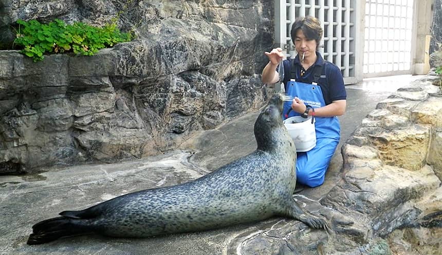 獣医の仕事を紹介