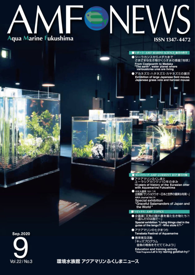 amf_news82cover