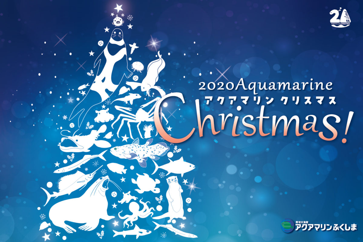 アクアマリンクリスマス2020