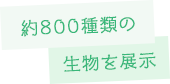 800種を超える生物を展示