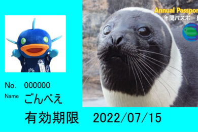 年間パスポート一般用2021.3-