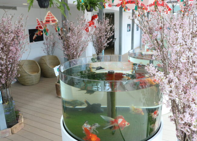 金魚館展示イメージ