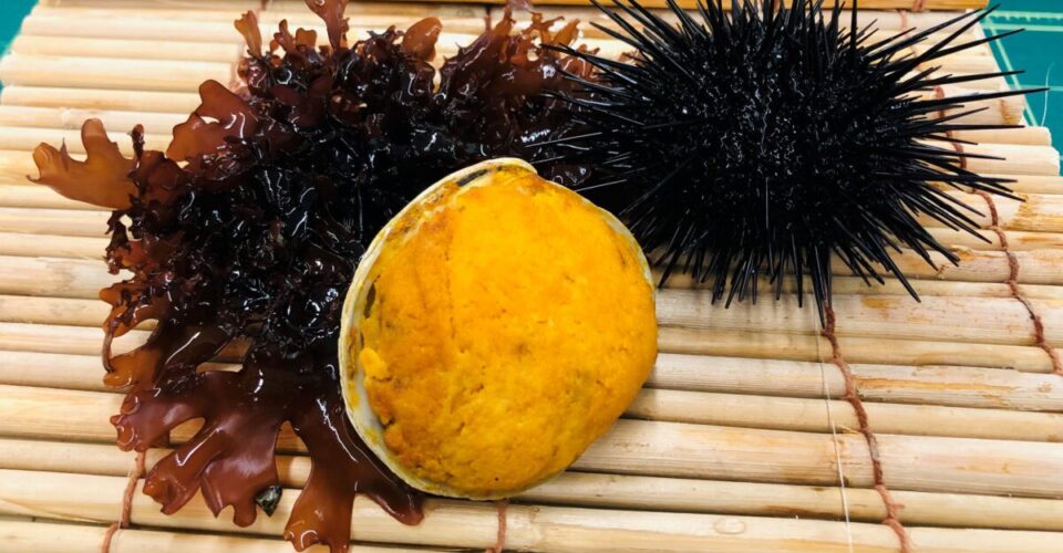 キッズプログラム アクアマリンふくしま