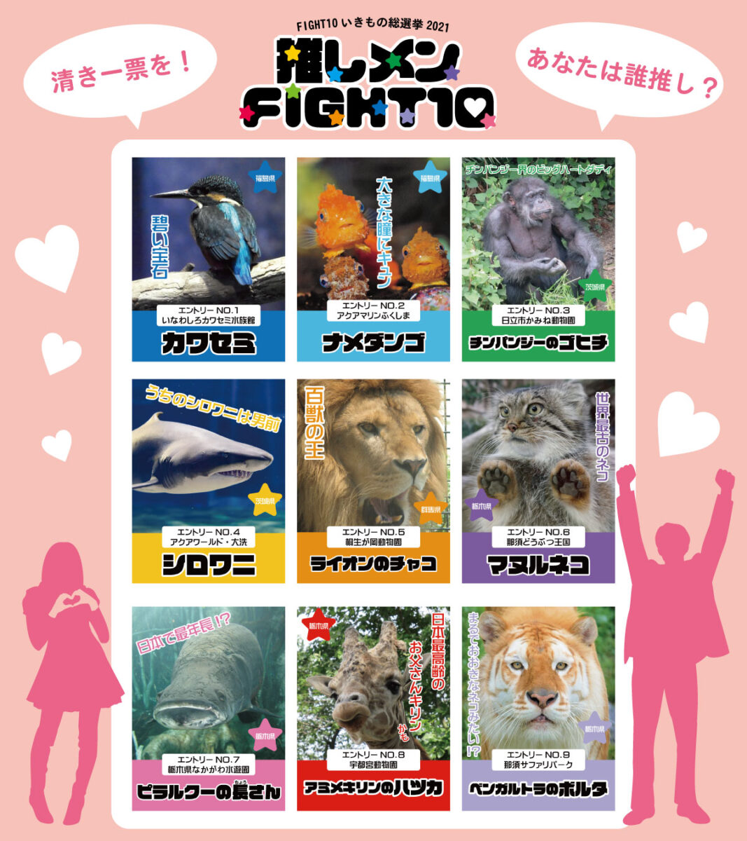 推しメンFIGHT10