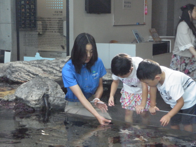 スタッフ紹介　藁谷さん②