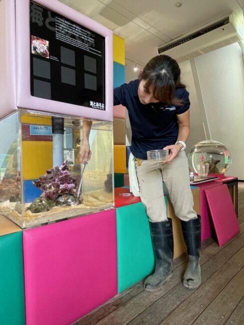 スタッフ紹介　荒木さん③