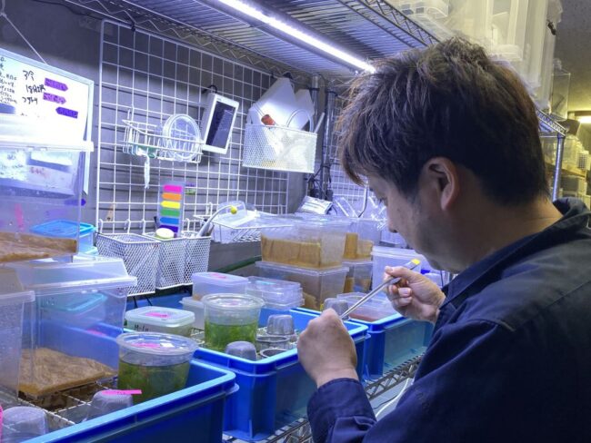 職員紹介　平澤桂（カワセミ水族館） (2)