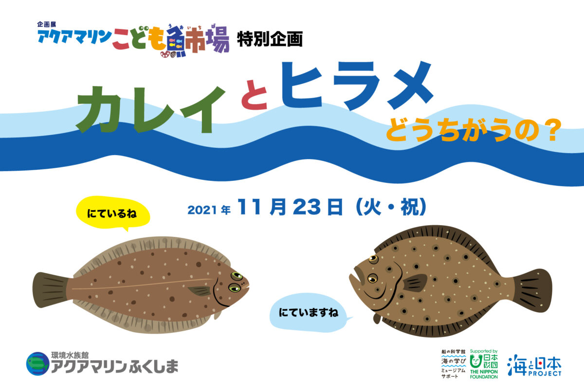 カレイとヒラメどうちがうの イベント 企画展 アクアマリンふくしま