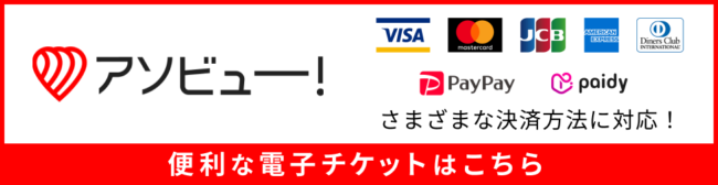 アソビュー　電子チケット