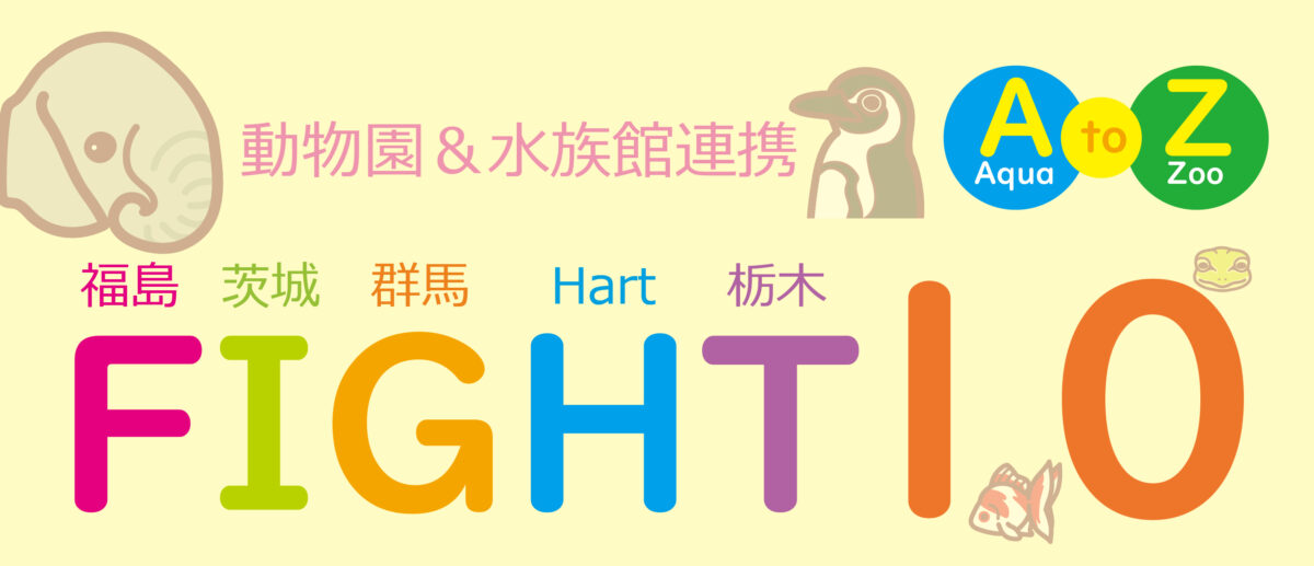 FIGHT10