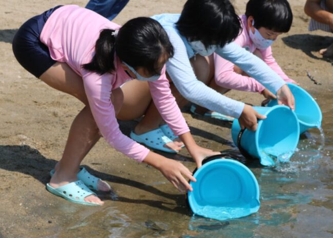 生き物放流会