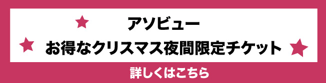 アソビュー　クリスマス夜間限定チケット