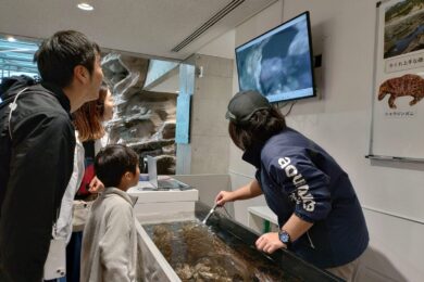 ふくしまの磯で生き物かんさつ