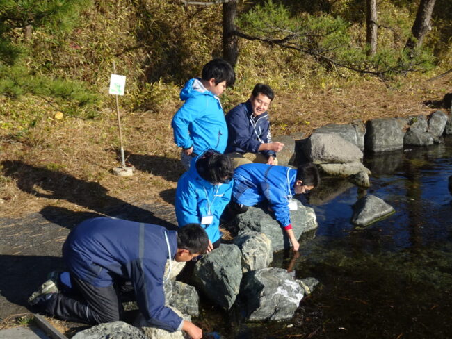 みんなでつくろうお正月水槽1