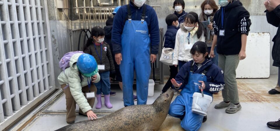 海獣たちに近づこう
