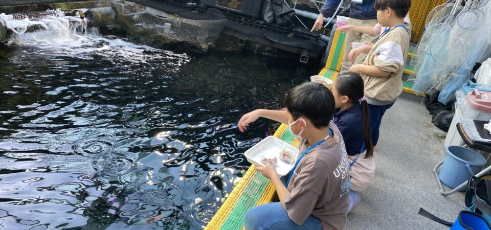 サンゴ礁の魚に餌をやろう