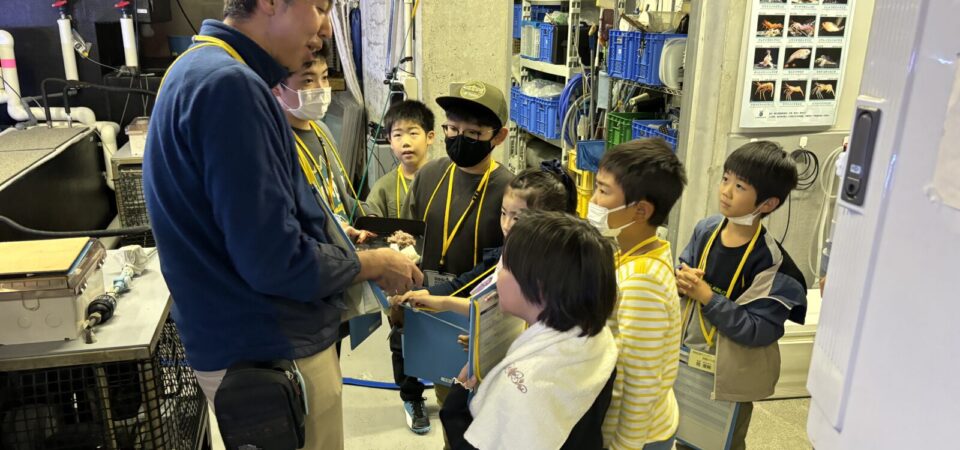 図鑑NEO出演飼育員緒深海トーク