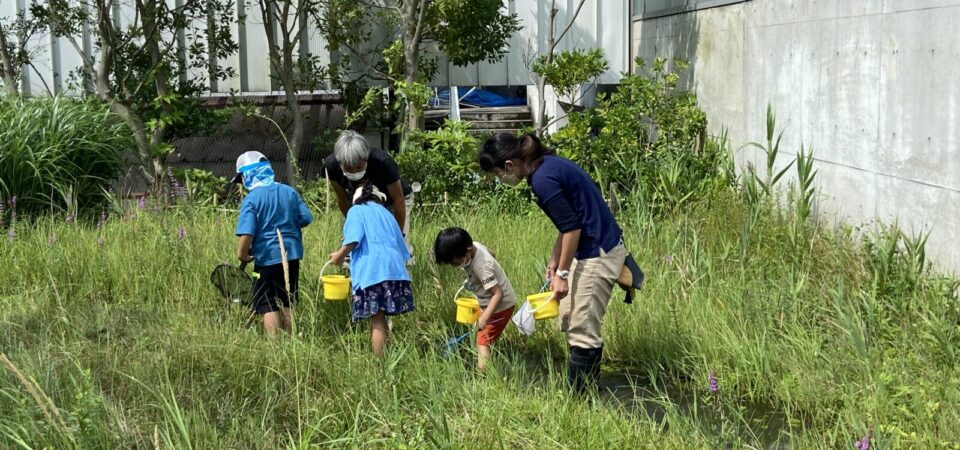 BIOBIOかっぱの里生き物調査