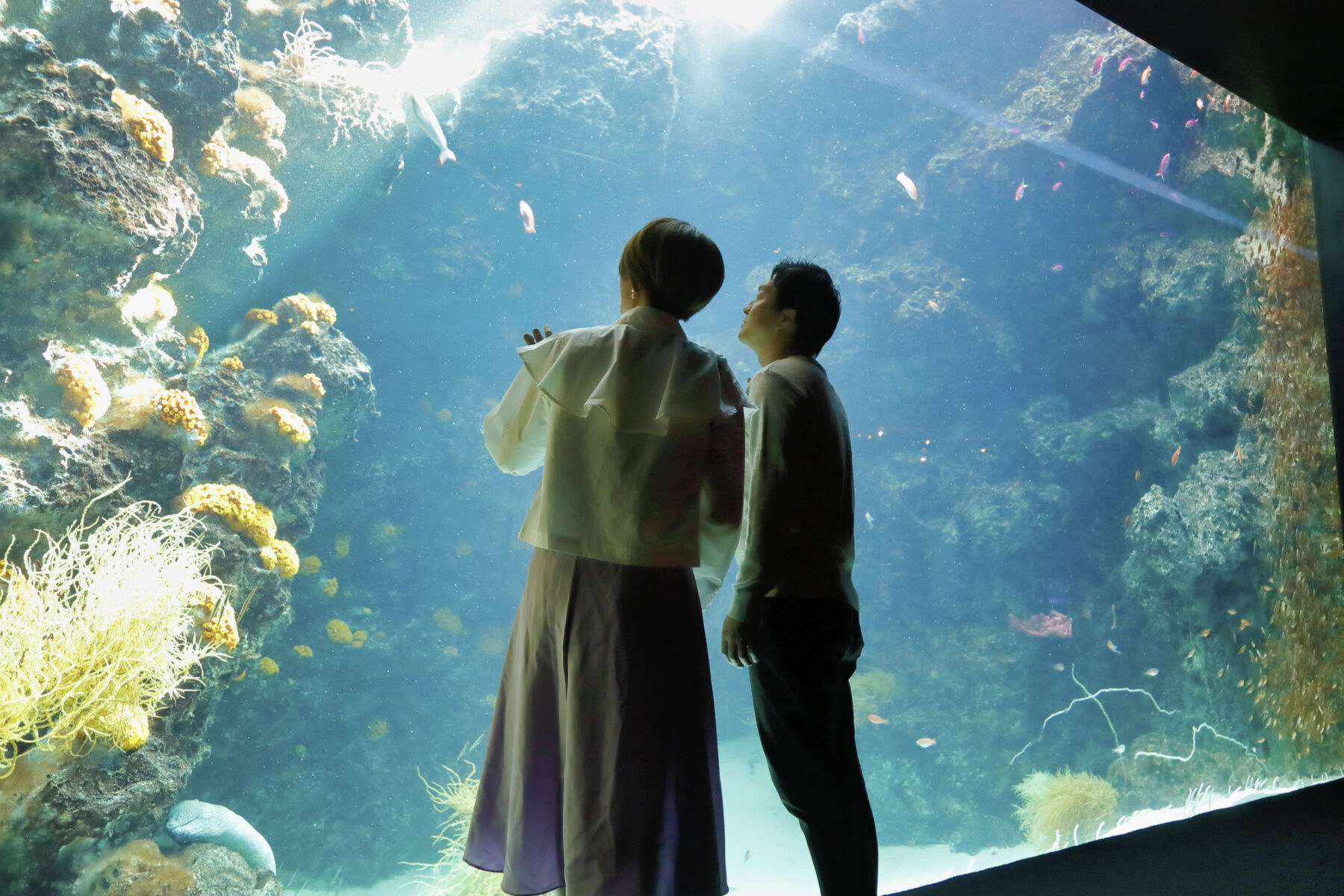 サンゴ礁の海（カップル）