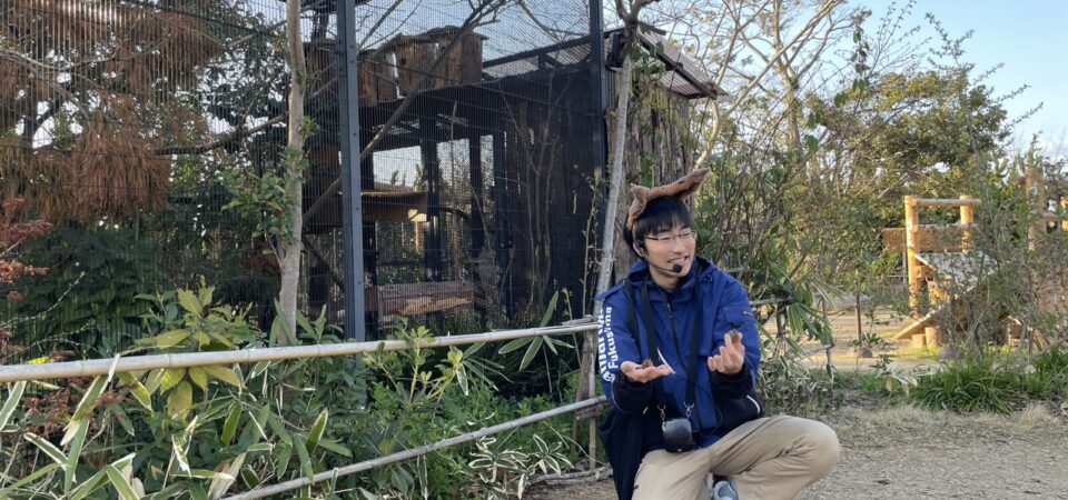 学んであそぼう！どうぶつごっこ
