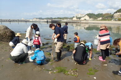 初めてずぶぬれ生き物調査隊！飼育員と学ぼう
