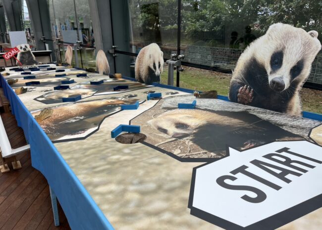 アナグマボードゲーム