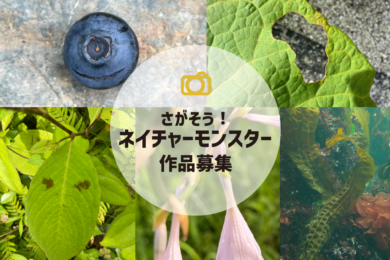 ネイチャーモンスター作品募集サムネイル