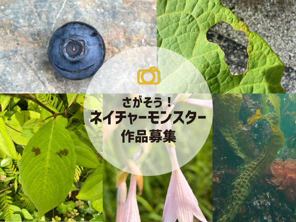 ネイチャーモンスター作品募集サムネイル