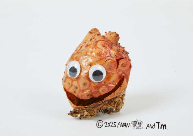 マボヤちゃん（さかなクン製作のはく製）
