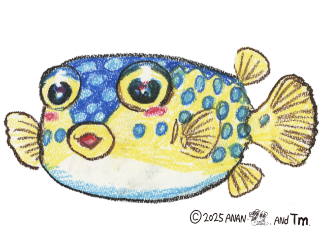 ハコフグちゃん（さかなクンイラスト）