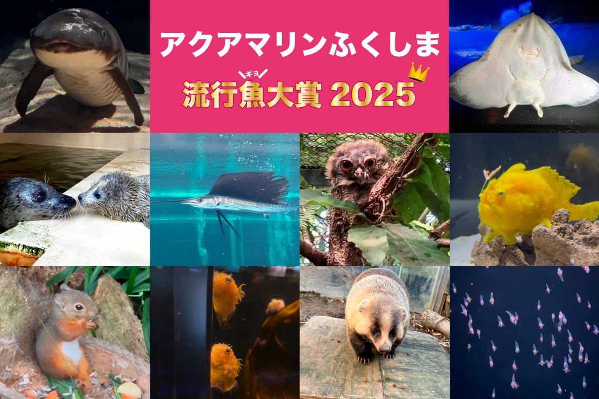 流行魚大賞ウェブバナー