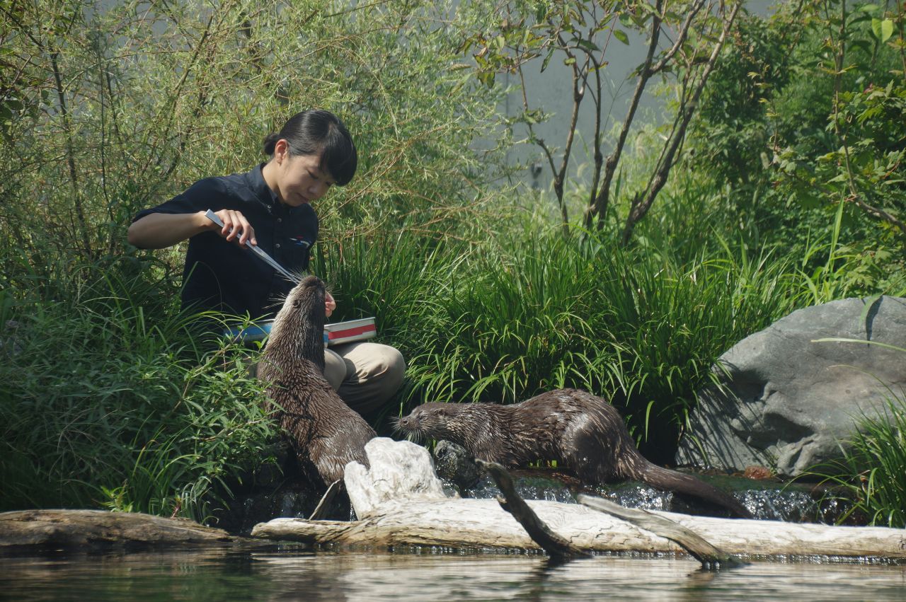 飼育員　採用募集イメージ