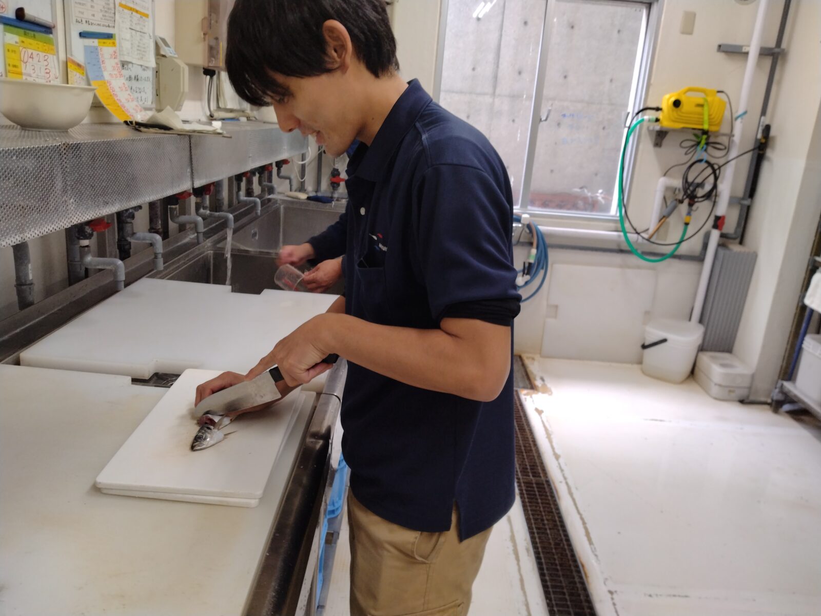 飼育員　採用募集イメージ