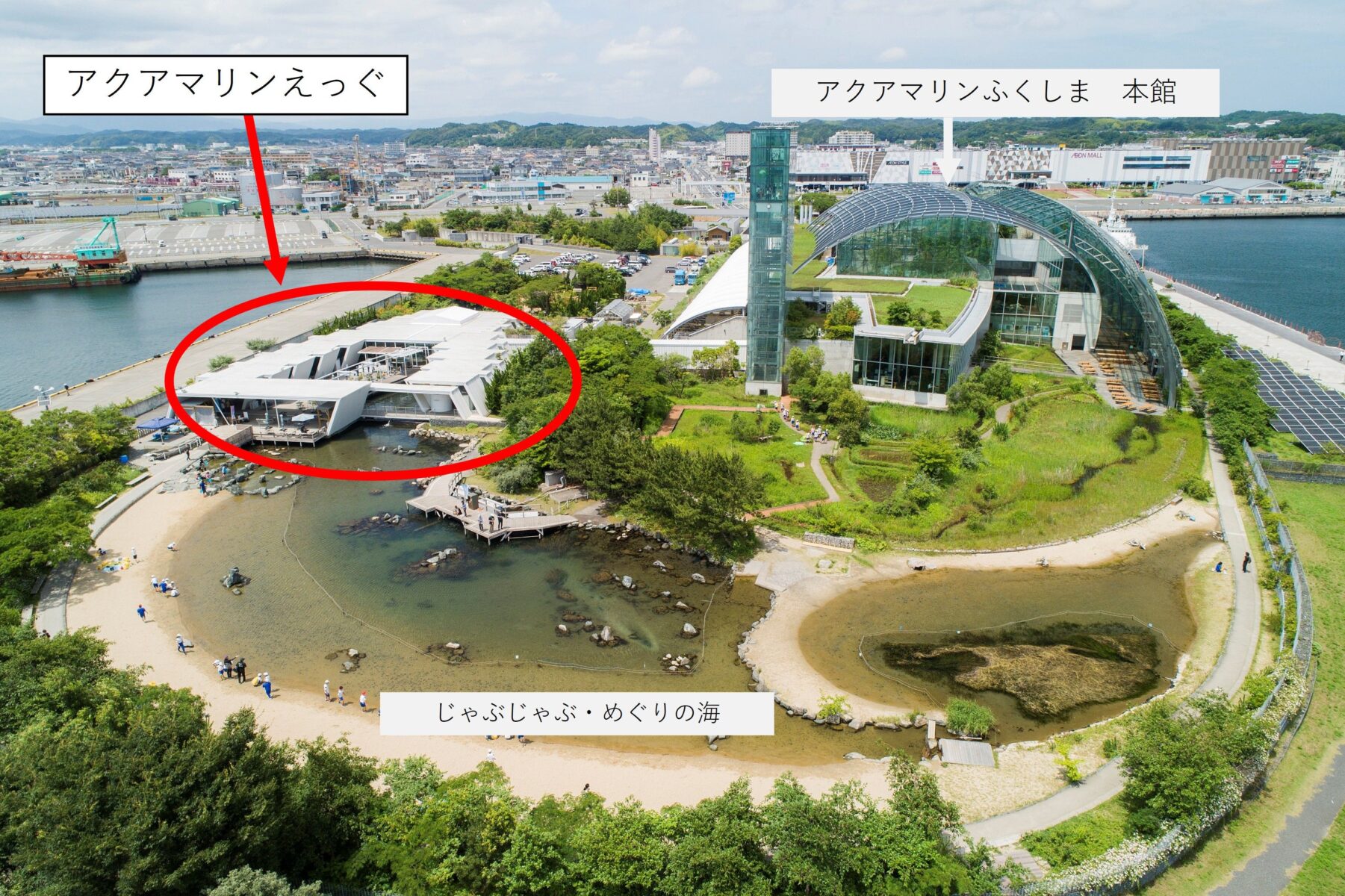 展示閉鎖・体験中止期間のお知らせ（1/13～）｜アクアマリンふくしま