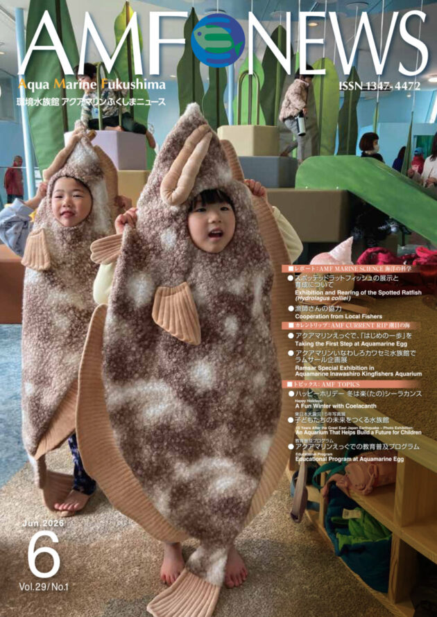 機関誌AMF NEWS 101号