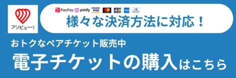 アソビュー　電子チケット